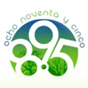 Logo de Life FM 895